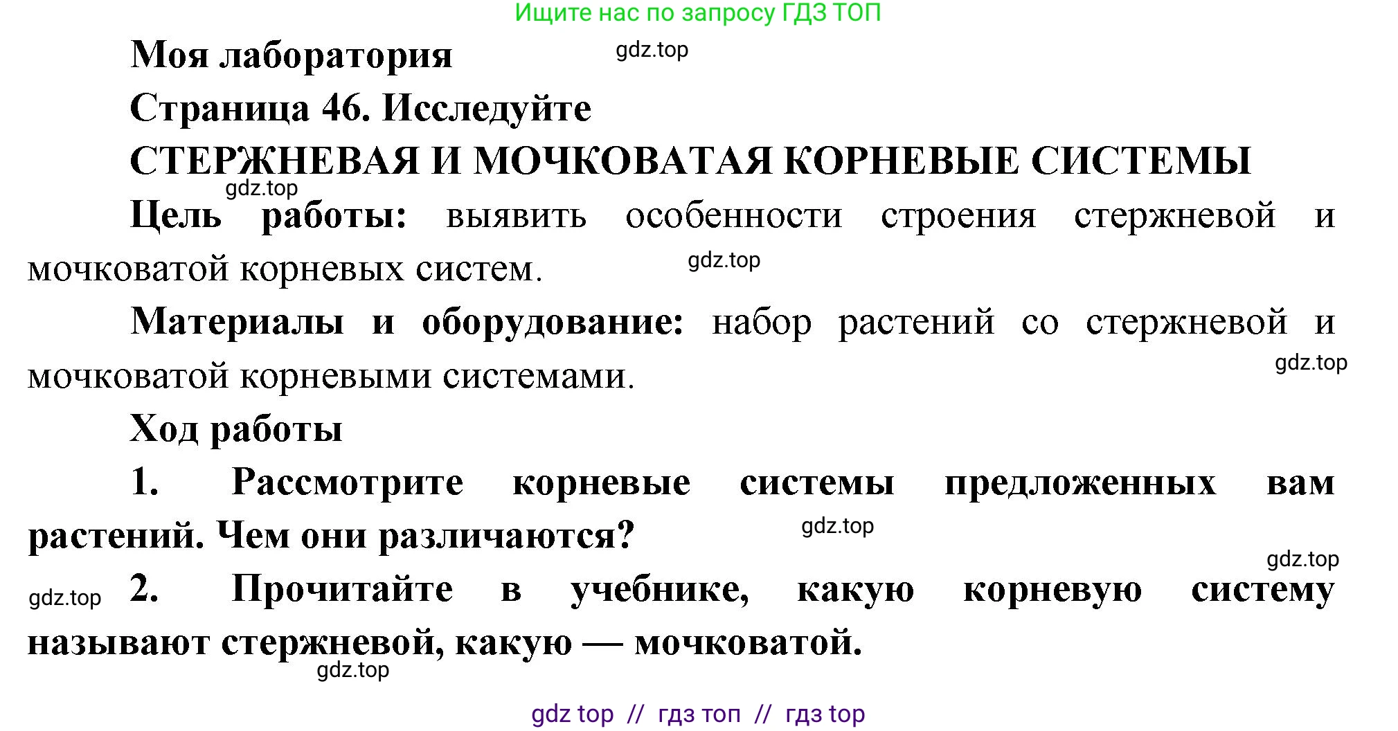 Биология, 6 класс Учебник, авторы: Пасечник Владимир Васильевич, Суматохин Сергей Витальевич, Гапонюк Зоя Георгиевна, Швецов Глеб Геннадьевич, издательство Просвещение, Москва, 2023, белого цвета, страница 47, Решение 3