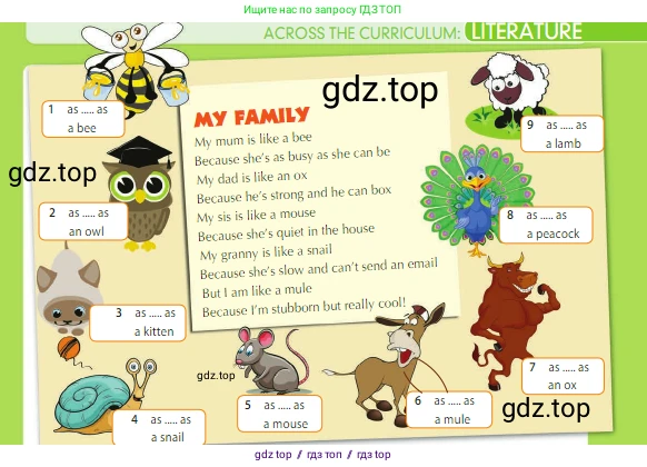 Английский язык (english), 5 класс Учебник (Student's book), авторы: Ваулина Юлия Евгеньевна (Vaulina Julia), Дули Дженни (Dooley Jenny), Подоляко Ольга Евгеньевна (Podolyako Olga), Эванс Вирджиния (Evans Virginia), издательство Просвещение, Москва, 2023, жёлтого цвета, страница 63, номер 1, Условие 2023-2027 (продолжение 2)