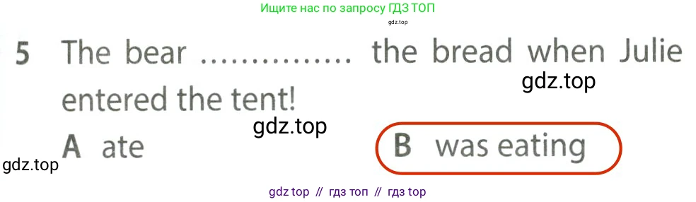 Английский язык (english), 7 класс контрольные задания (test booklet), авторы: Ваулина Юлия Евгеньевна (Vaulina Julia), Дули Дженни (Dooley Jenny), Подоляко Ольга Евгеньевна (Podolyako Olga), Эванс Вирджиния (Evans Virginia), издательство Просвещение, Москва, 2023, розового цвета, страница 101, номер 5, Решение 2 (2023-2027)