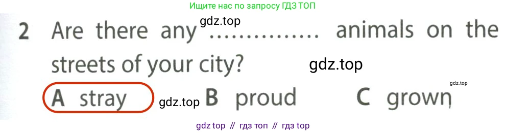 Английский язык (english), 7 класс контрольные задания (test booklet), авторы: Ваулина Юлия Евгеньевна (Vaulina Julia), Дули Дженни (Dooley Jenny), Подоляко Ольга Евгеньевна (Podolyako Olga), Эванс Вирджиния (Evans Virginia), издательство Просвещение, Москва, 2023, розового цвета, страница 103, номер 2, Решение 2 (2023-2027)