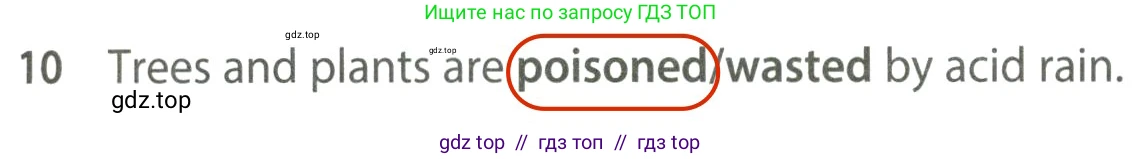 Английский язык (english), 7 класс контрольные задания (test booklet), авторы: Ваулина Юлия Евгеньевна (Vaulina Julia), Дули Дженни (Dooley Jenny), Подоляко Ольга Евгеньевна (Podolyako Olga), Эванс Вирджиния (Evans Virginia), издательство Просвещение, Москва, 2023, розового цвета, страница 113, номер 10, Решение 2 (2023-2027)