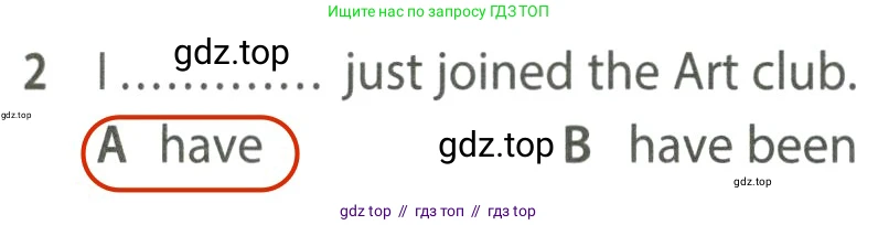 Английский язык (english), 7 класс контрольные задания (test booklet), авторы: Ваулина Юлия Евгеньевна (Vaulina Julia), Дули Дженни (Dooley Jenny), Подоляко Ольга Евгеньевна (Podolyako Olga), Эванс Вирджиния (Evans Virginia), издательство Просвещение, Москва, 2023, розового цвета, страница 117, номер 2, Решение 2 (2023-2027)