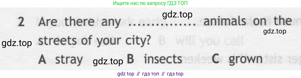 Английский язык (english), 7 класс контрольные задания (test booklet), авторы: Ваулина Юлия Евгеньевна (Vaulina Julia), Дули Дженни (Dooley Jenny), Подоляко Ольга Евгеньевна (Podolyako Olga), Эванс Вирджиния (Evans Virginia), издательство Просвещение, Москва, 2023, розового цвета, страница 103, номер 2, Условие 2019-2022