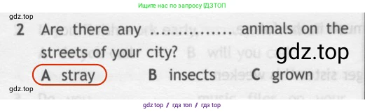 Английский язык (english), 7 класс контрольные задания (test booklet), авторы: Ваулина Юлия Евгеньевна (Vaulina Julia), Дули Дженни (Dooley Jenny), Подоляко Ольга Евгеньевна (Podolyako Olga), Эванс Вирджиния (Evans Virginia), издательство Просвещение, Москва, 2023, розового цвета, страница 103, номер 2, Решение 2 (2023-2027)