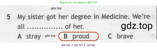 Английский язык (english), 7 класс контрольные задания (test booklet), авторы: Ваулина Юлия Евгеньевна (Vaulina Julia), Дули Дженни (Dooley Jenny), Подоляко Ольга Евгеньевна (Podolyako Olga), Эванс Вирджиния (Evans Virginia), издательство Просвещение, Москва, 2023, розового цвета, страница 103, номер 5, Решение 2 (2023-2027)